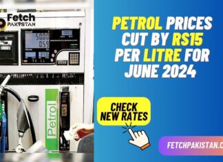 Petrol Prices Cut by Rs15 Per Litre for June 2024