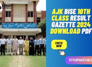 AJK BISE 10th Class Result Gazette 2024 Download PDF