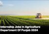 Internship Jobs In Agriculture Department Of Punjab 2024