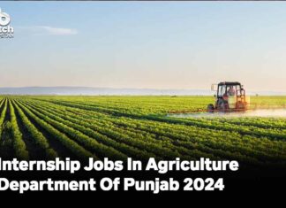 Internship Jobs In Agriculture Department Of Punjab 2024