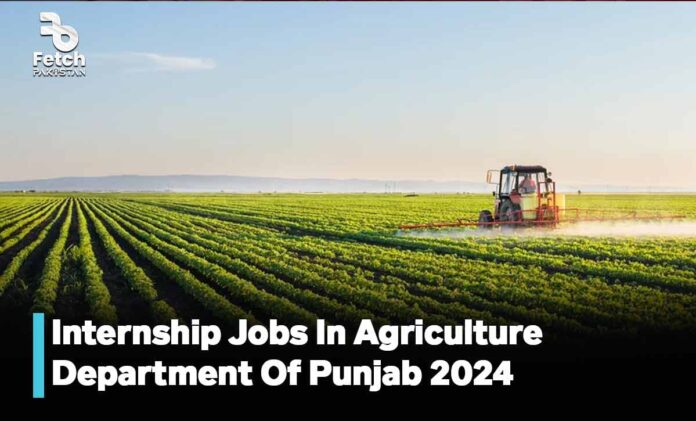 Internship Jobs In Agriculture Department Of Punjab 2024