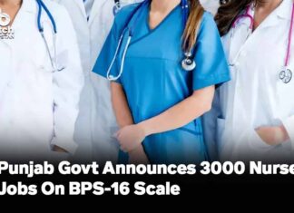 Punjab Govt Announces 3000 Nurses Jobs On BPS-16 Scale