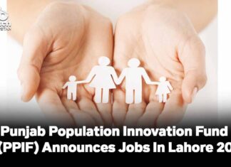 Punjab Population Innovation Fund (PPIF) Job Opportunities In Lahore 2024